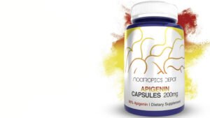 nootropic supplements