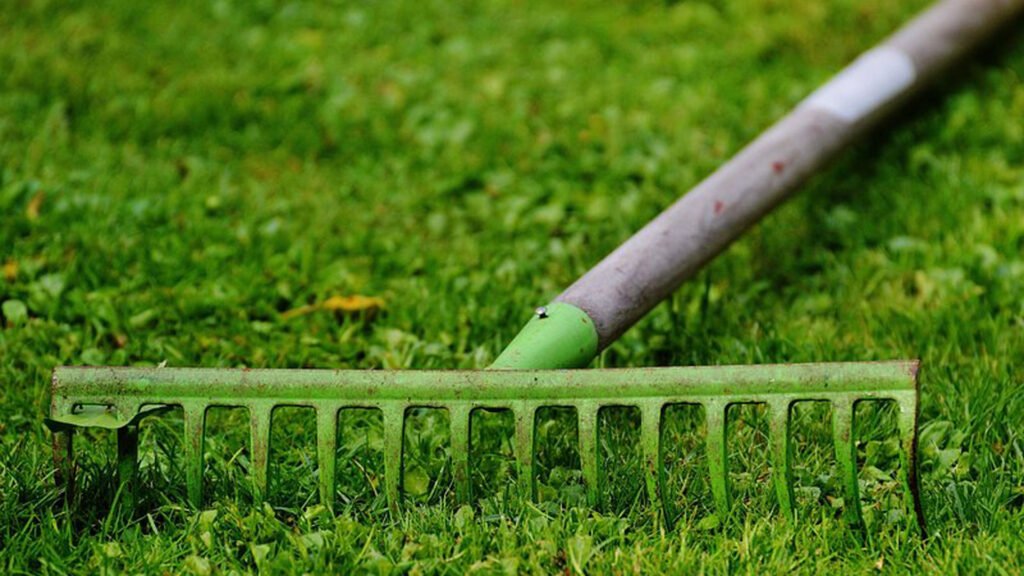 rake in garden